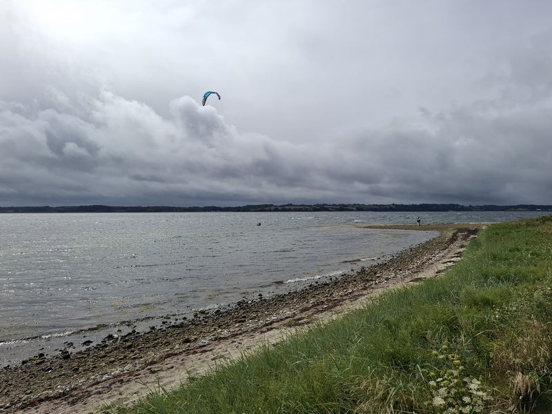 Barsøs kyst med strandeng og hav